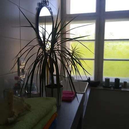 Lazy Spot Daire